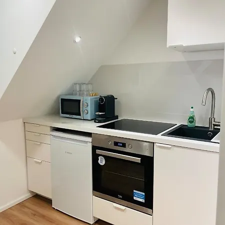 公寓 Traumhafte Zwei-zimmer-wohnung Mit Dachterrasse Schloss- Und Neckarblick *