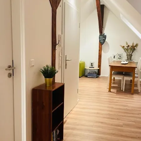 公寓 Traumhafte Zwei-zimmer-wohnung Mit Dachterrasse Schloss- Und Neckarblick 海德堡